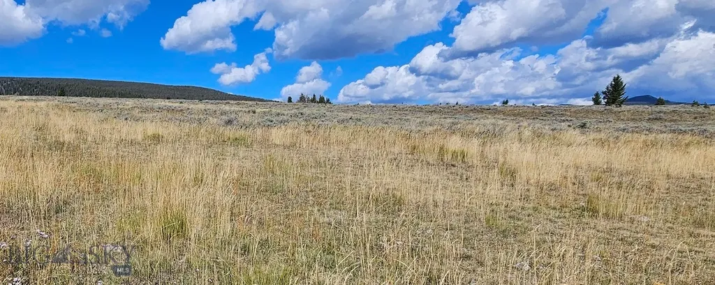 Dillon MT 59725