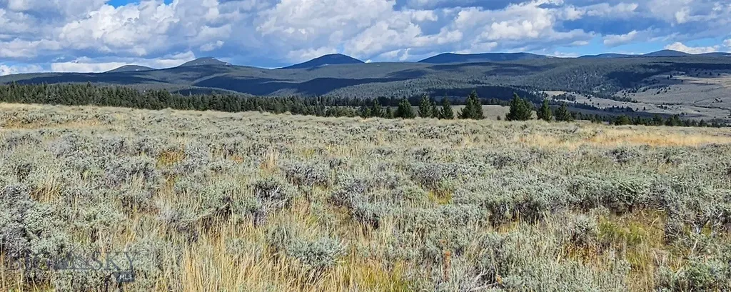 Dillon MT 59725