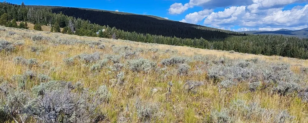 Dillon MT 59725