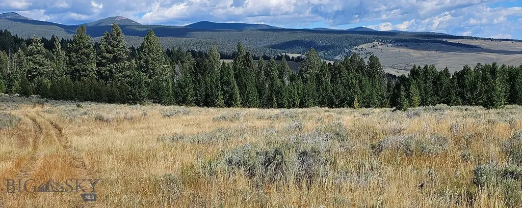 Dillon MT 59725