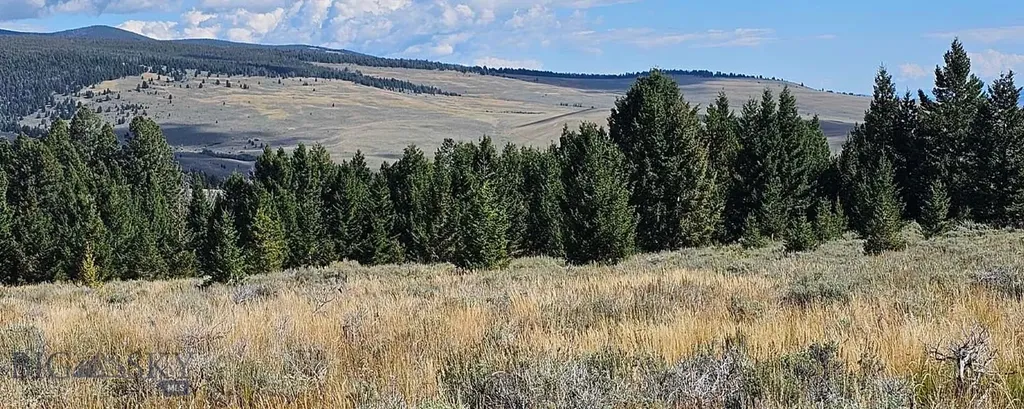 Dillon MT 59725