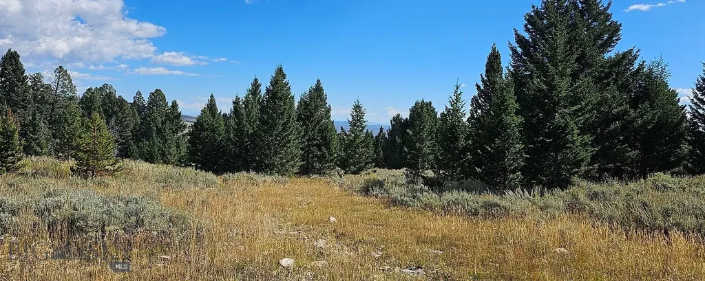 Dillon MT 59725