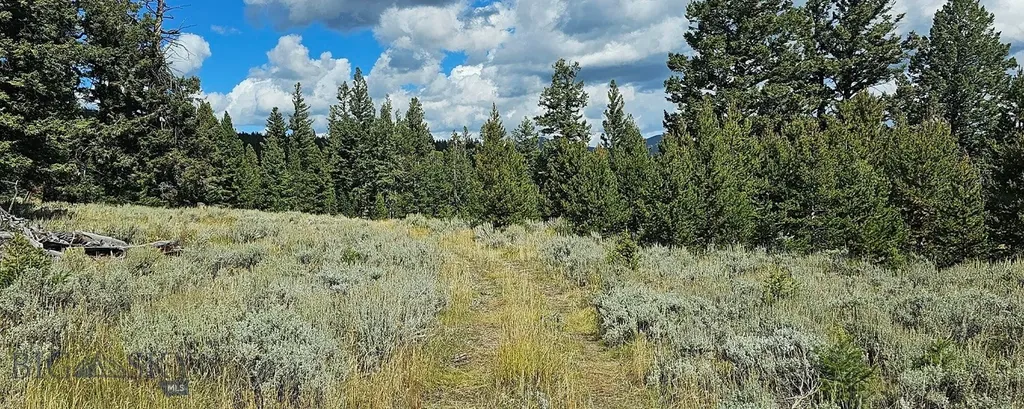 Dillon MT 59725