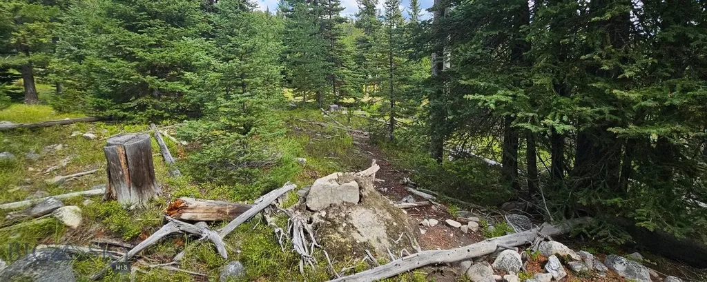 Dillon MT 59725