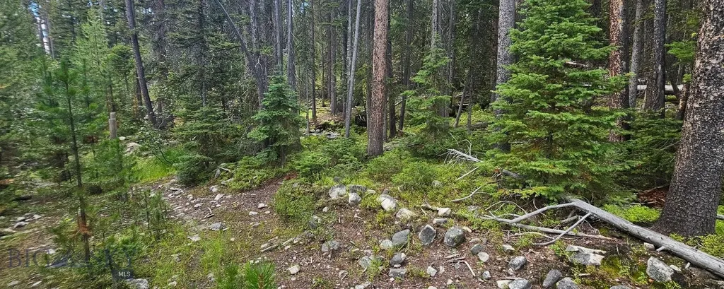 Dillon MT 59725
