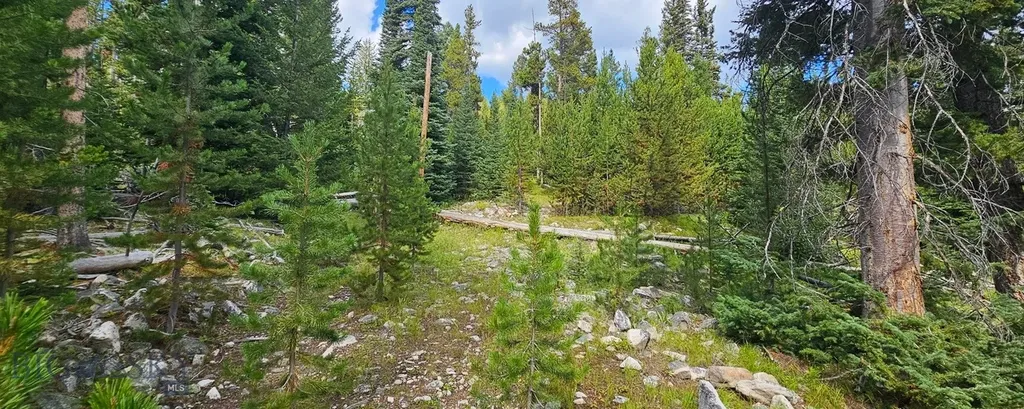 Dillon MT 59725