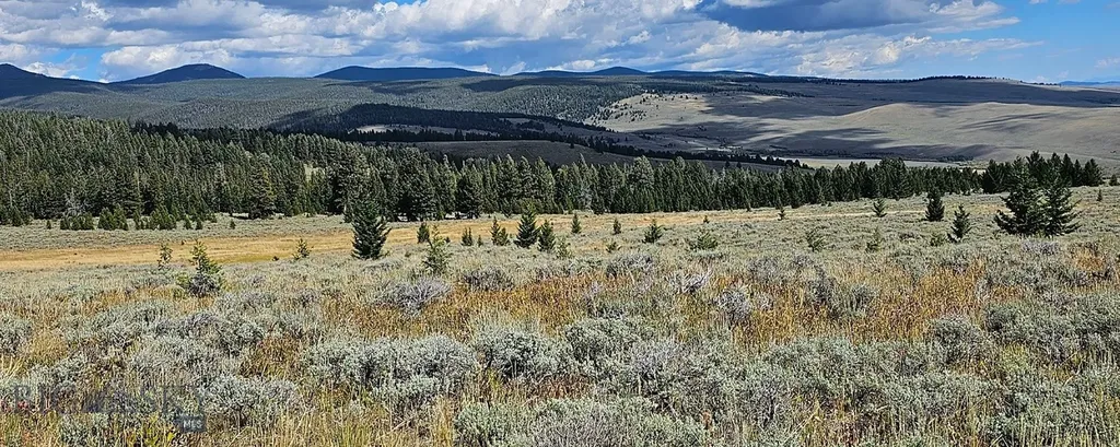 Dillon MT 59725