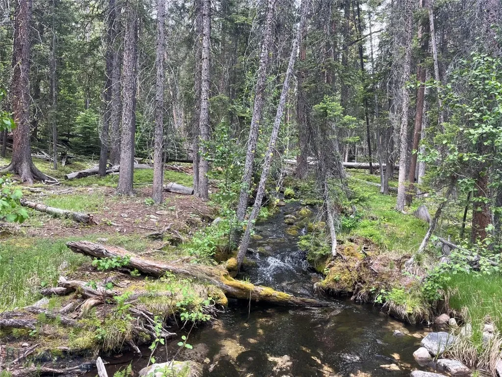 Dillon MT 59725