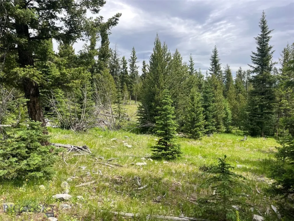 Dillon MT 59725