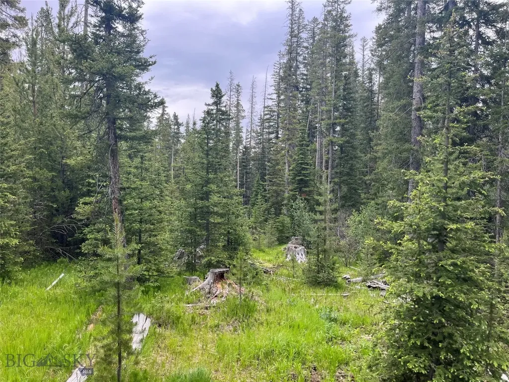 Dillon MT 59725