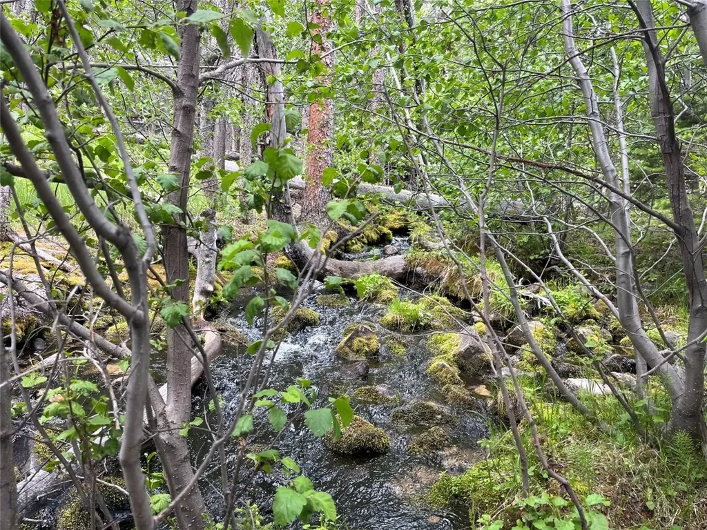 Dillon MT 59725