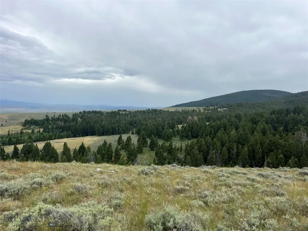 Dillon MT 59725