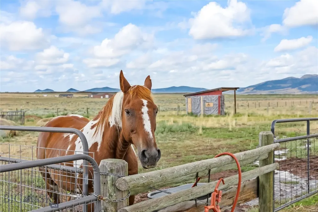 28 Great Escape Wilsall MT 59086