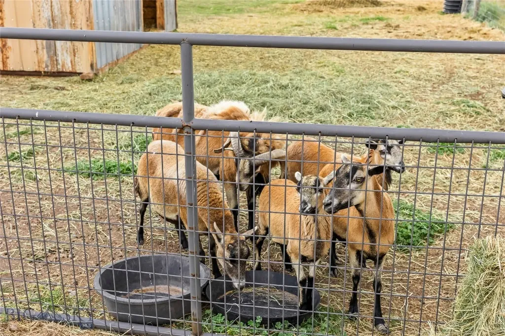 28 Great Escape Wilsall MT 59086