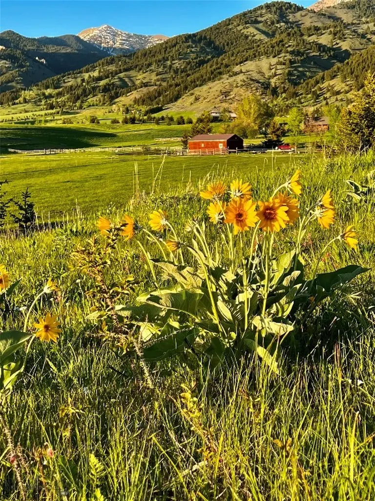 8350 Sypes Canyon Road Bozeman MT 59715