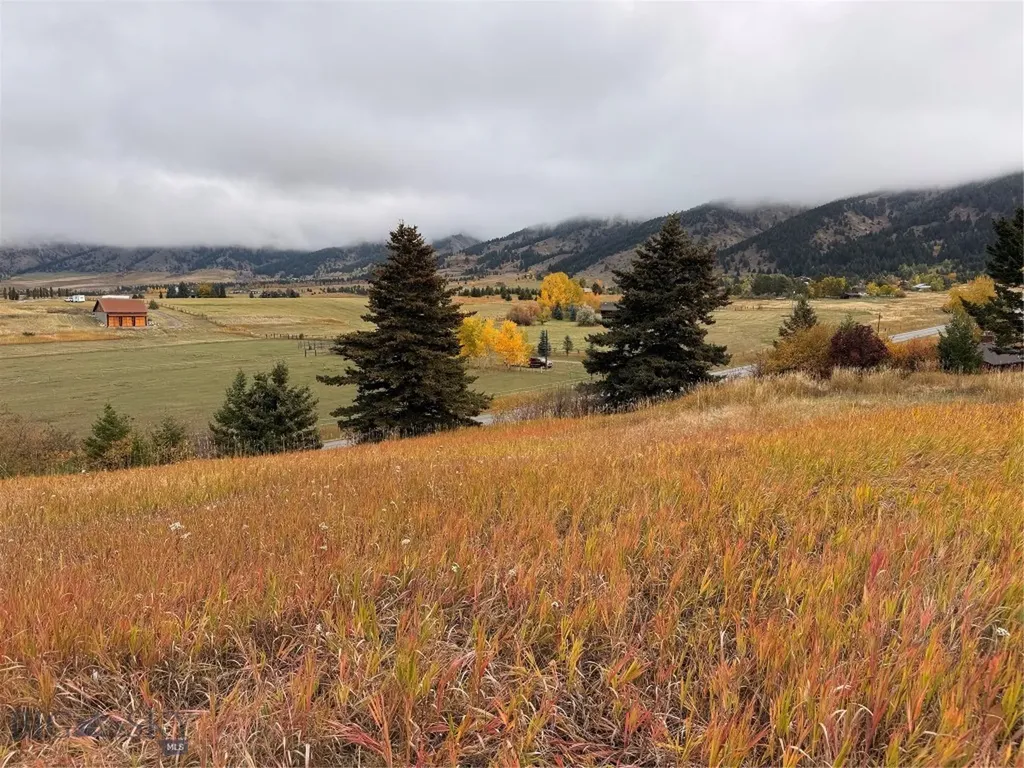 8350 Sypes Canyon Road Bozeman MT 59715