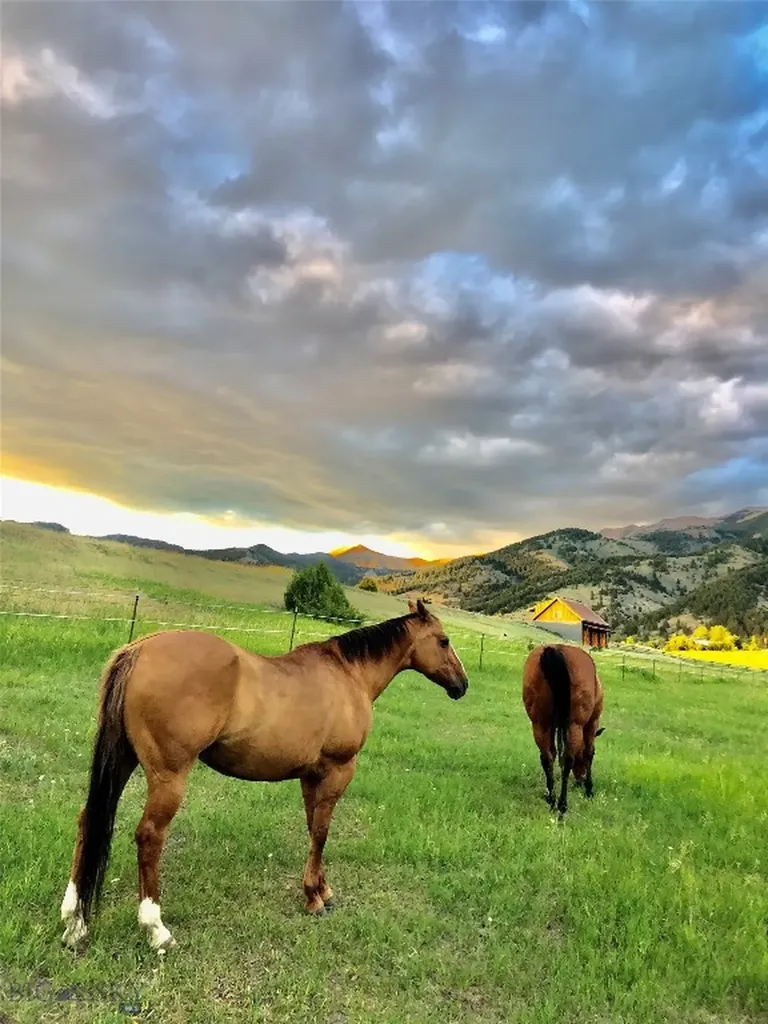 8350 Sypes Canyon Road Bozeman MT 59715