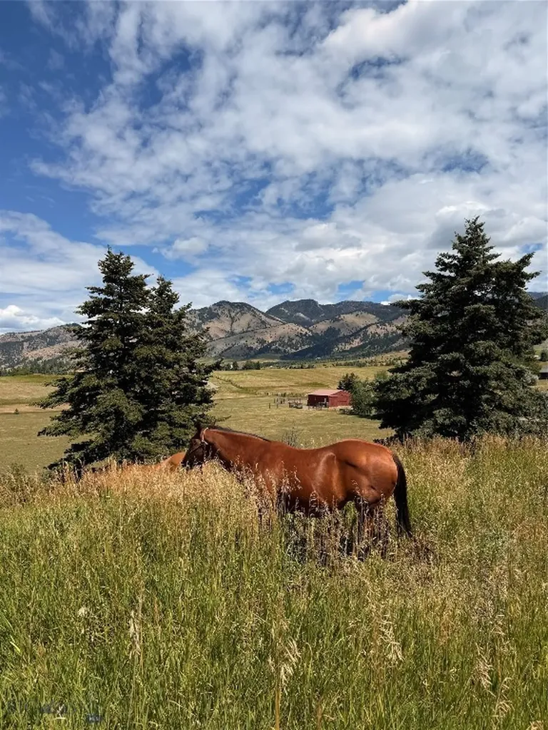 8350 Sypes Canyon Road Bozeman MT 59715