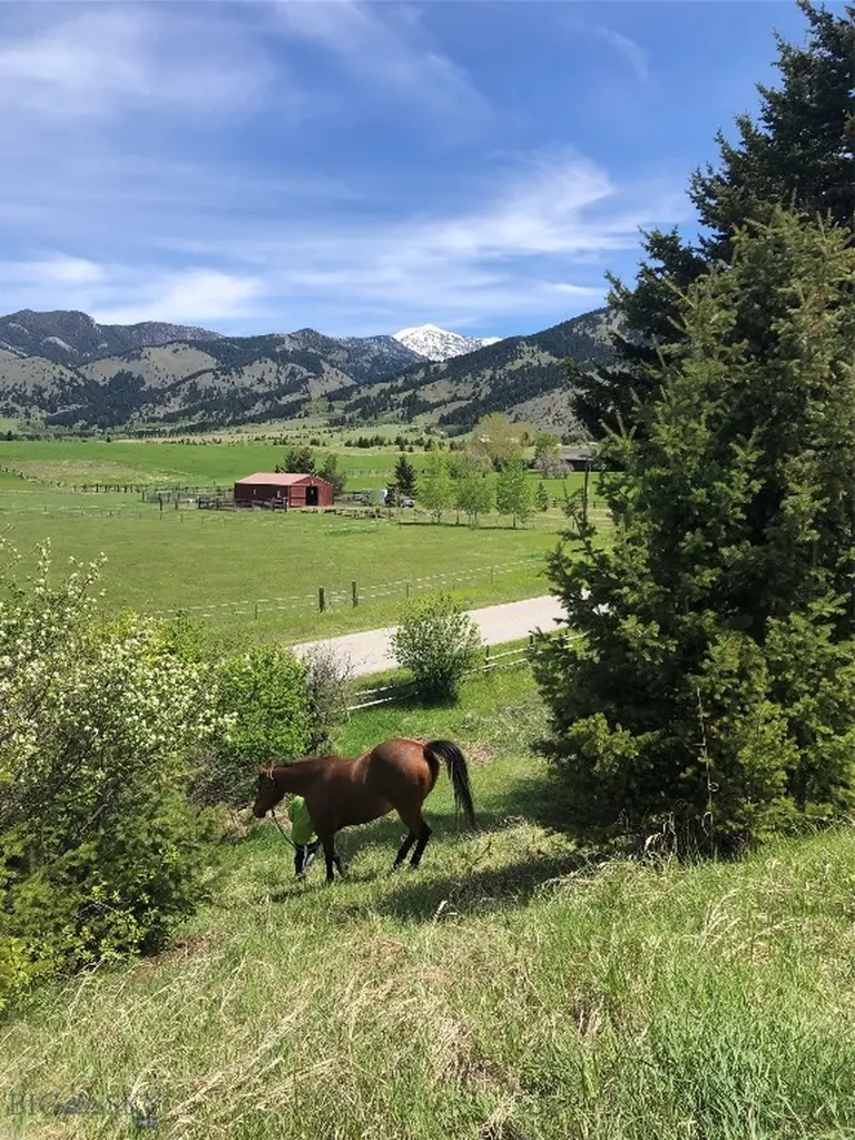 8350 Sypes Canyon Road Bozeman MT 59715