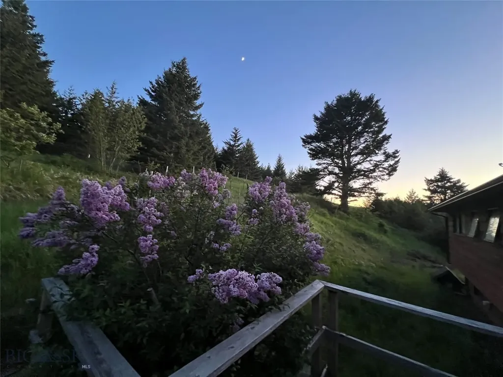 8350 Sypes Canyon Road Bozeman MT 59715
