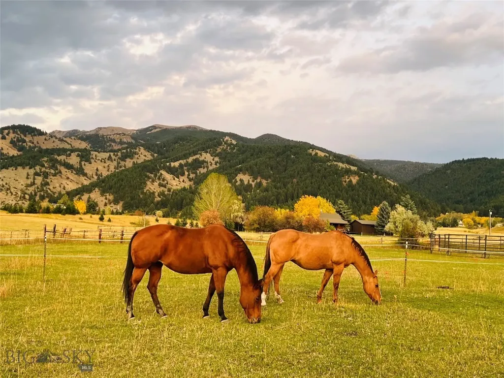 8350 Sypes Canyon Road Bozeman MT 59715