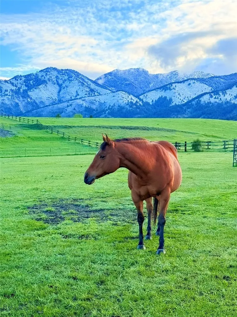 8350 Sypes Canyon Road Bozeman MT 59715