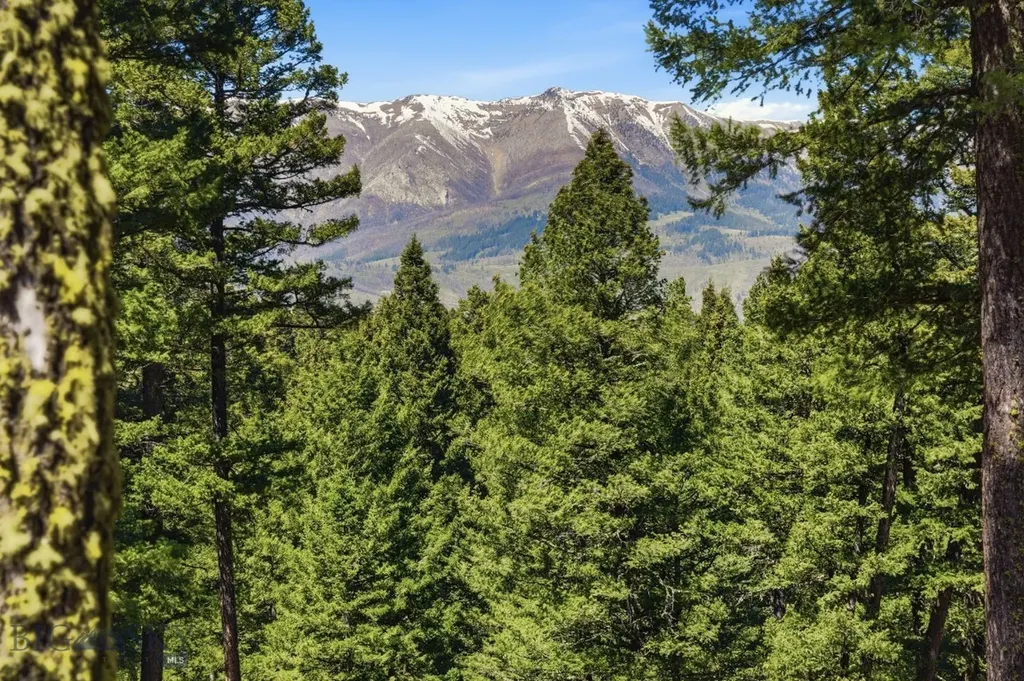 4754 Meadow Lane Bozeman MT 59715