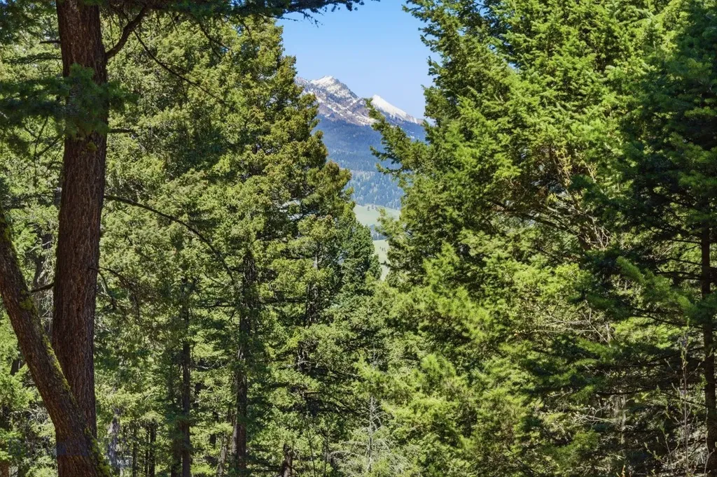 4754 Meadow Lane Bozeman MT 59715