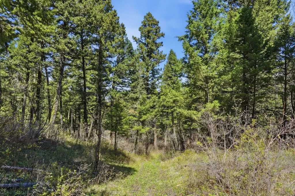 4754 Meadow Lane Bozeman MT 59715