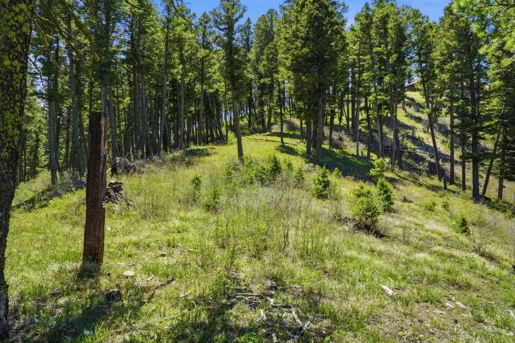 4754 Meadow Lane Bozeman MT 59715