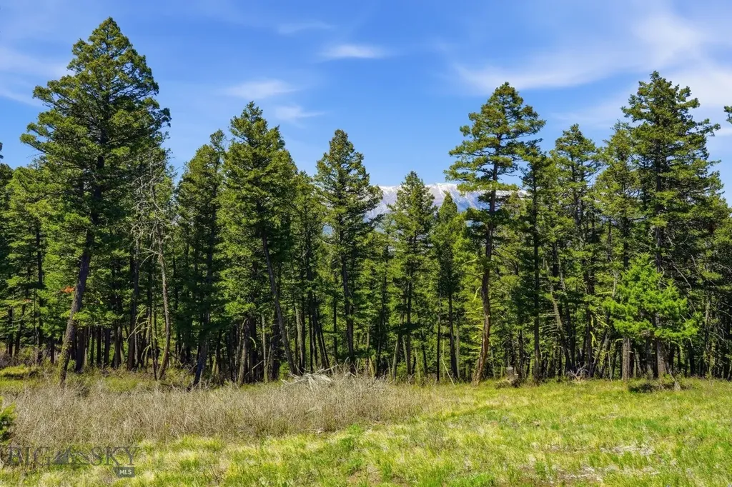 4754 Meadow Lane Bozeman MT 59715