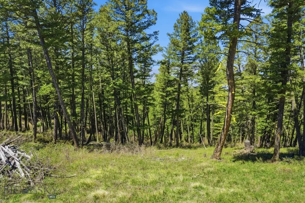 4754 Meadow Lane Bozeman MT 59715