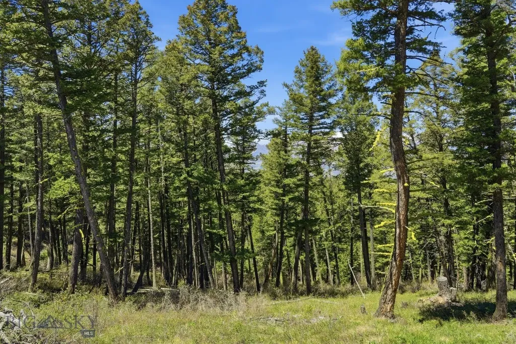 4754 Meadow Lane Bozeman MT 59715