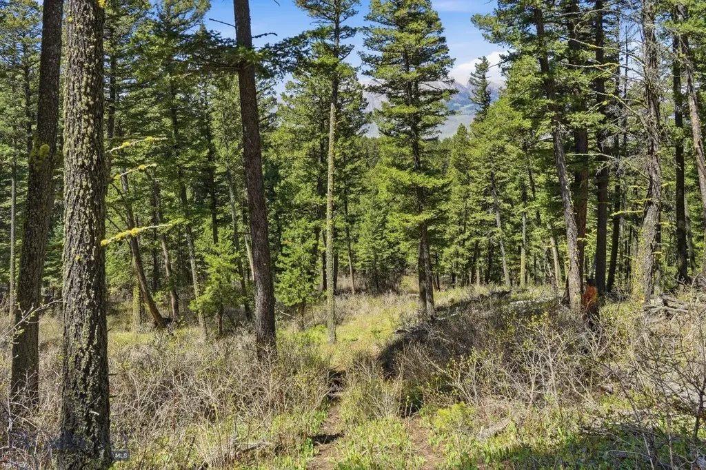 4754 Meadow Lane Bozeman MT 59715