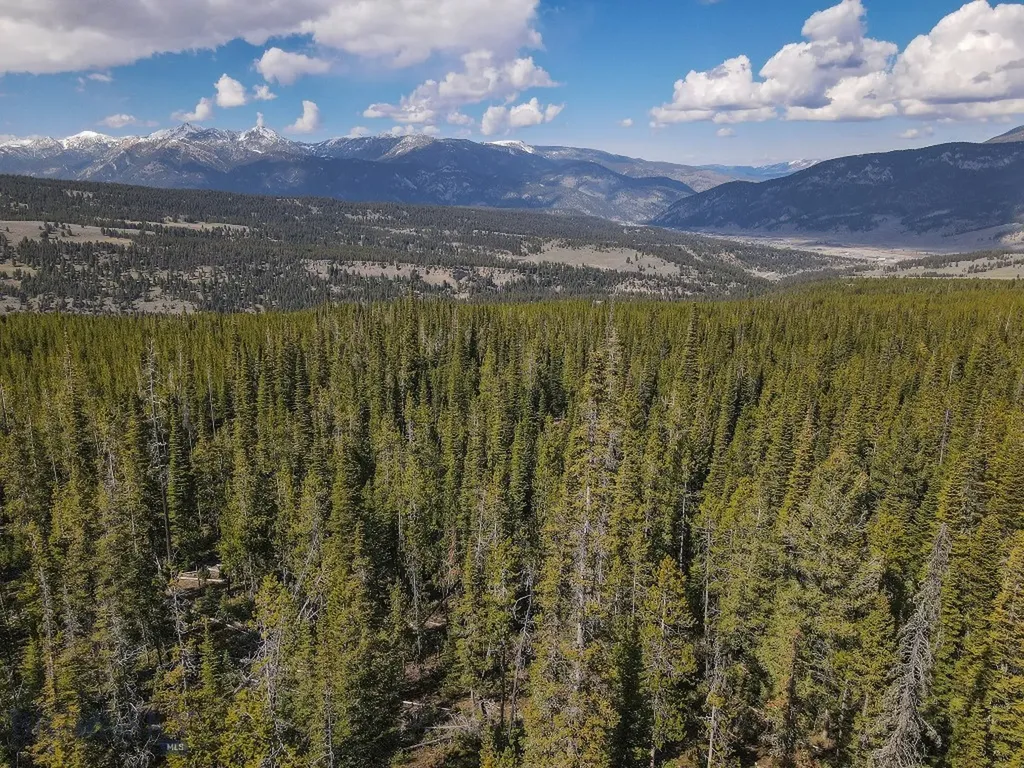 Tbd W Beaver Creek Big Sky MT 59716