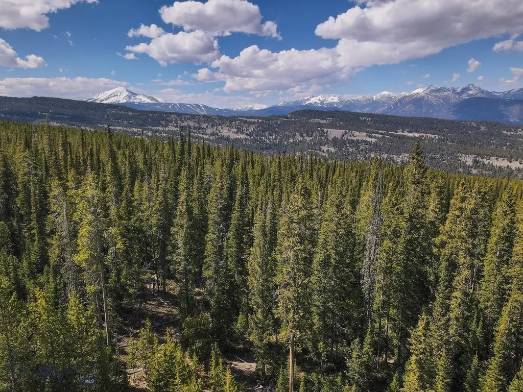 Tbd W Beaver Creek Big Sky MT 59716