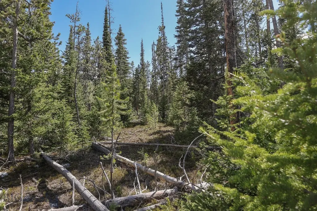 Tbd W Beaver Creek Big Sky MT 59716