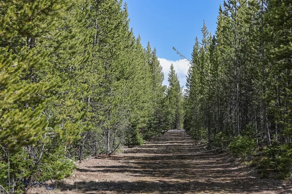 Tbd W Beaver Creek Big Sky MT 59716