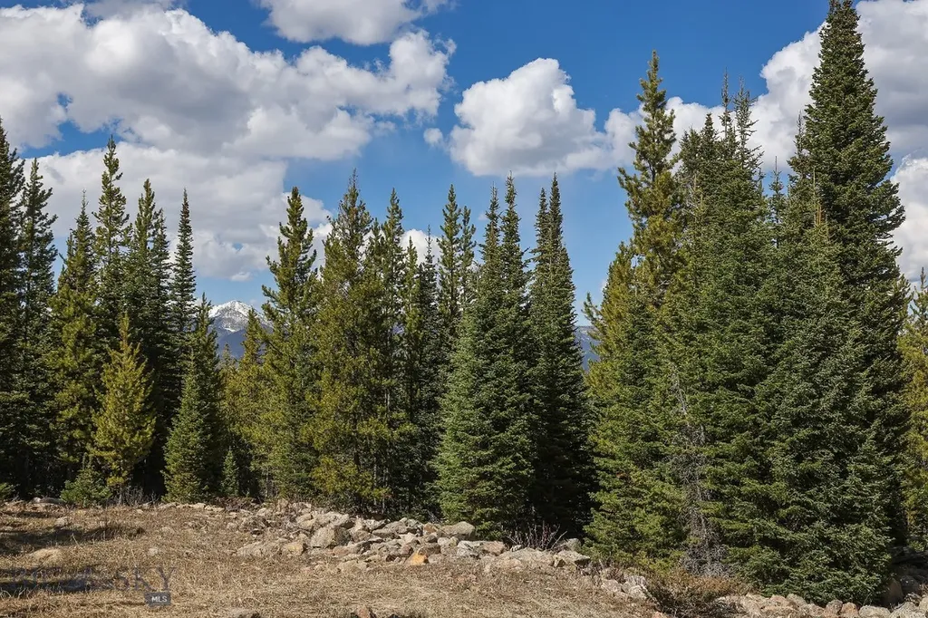 Tbd W Beaver Creek Big Sky MT 59716