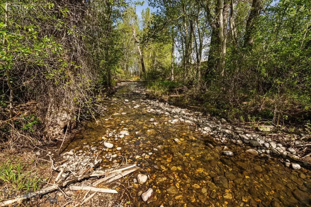 648 Bushnell Road Bozeman MT 59718