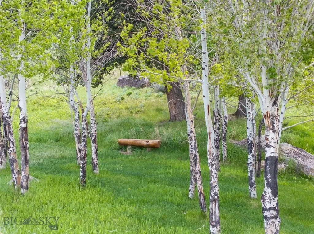 94 Skyband Trail Livingston MT 59047