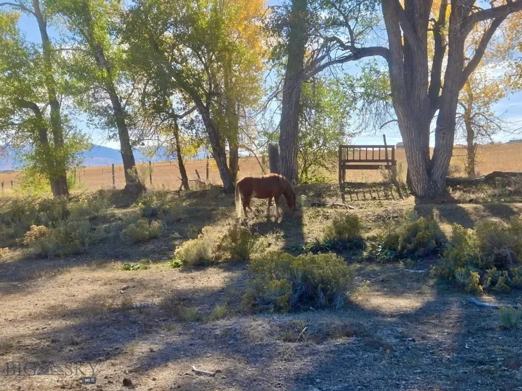 3957 Blacktail Road Dillon MT 59725