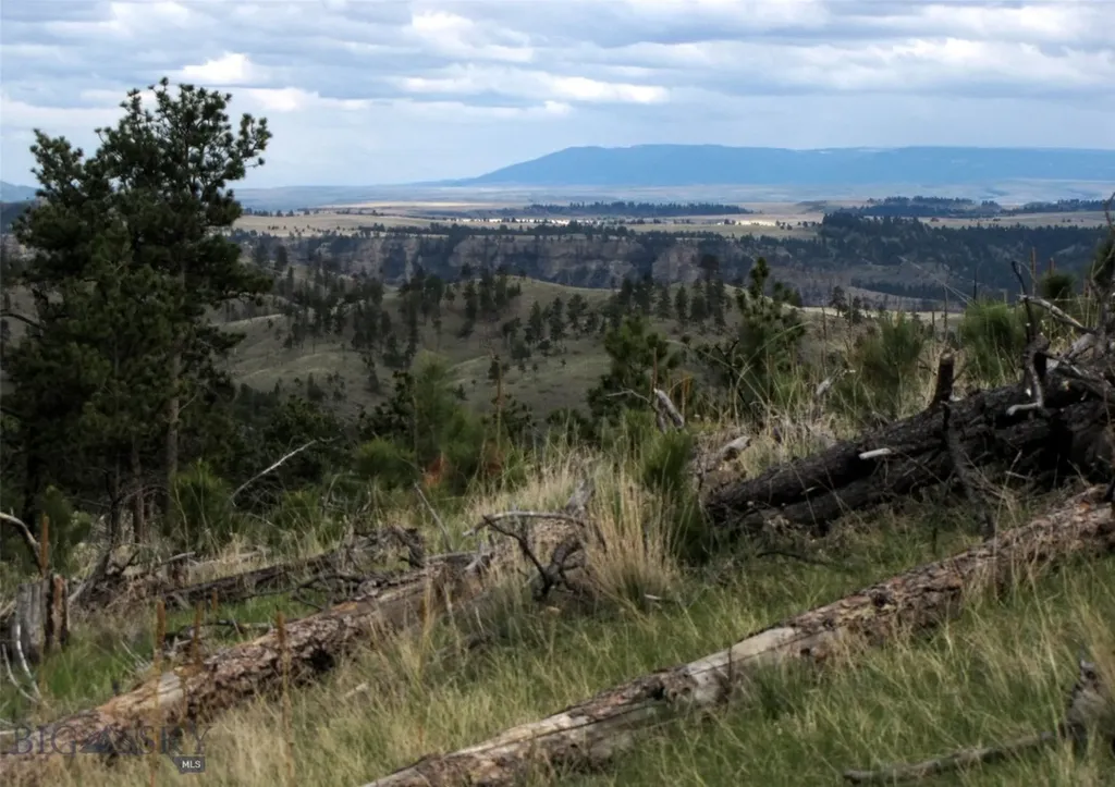 Tbd Wild Turkey Ridge Road Columbus MT 59019