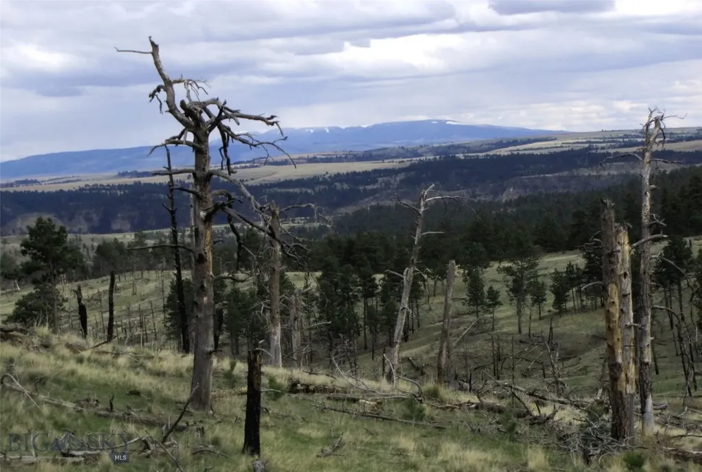Tbd Wild Turkey Ridge Road Columbus MT 59019