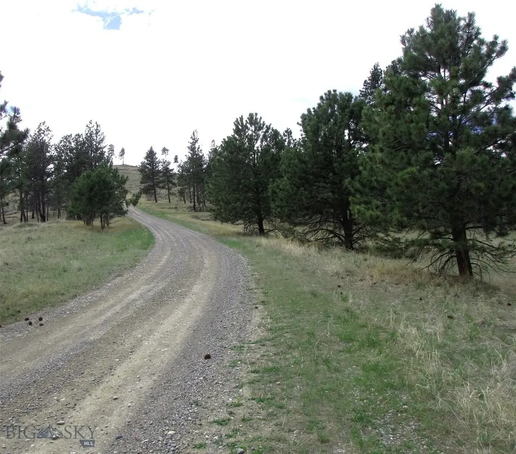 Tbd Wild Turkey Ridge Road Columbus MT 59019