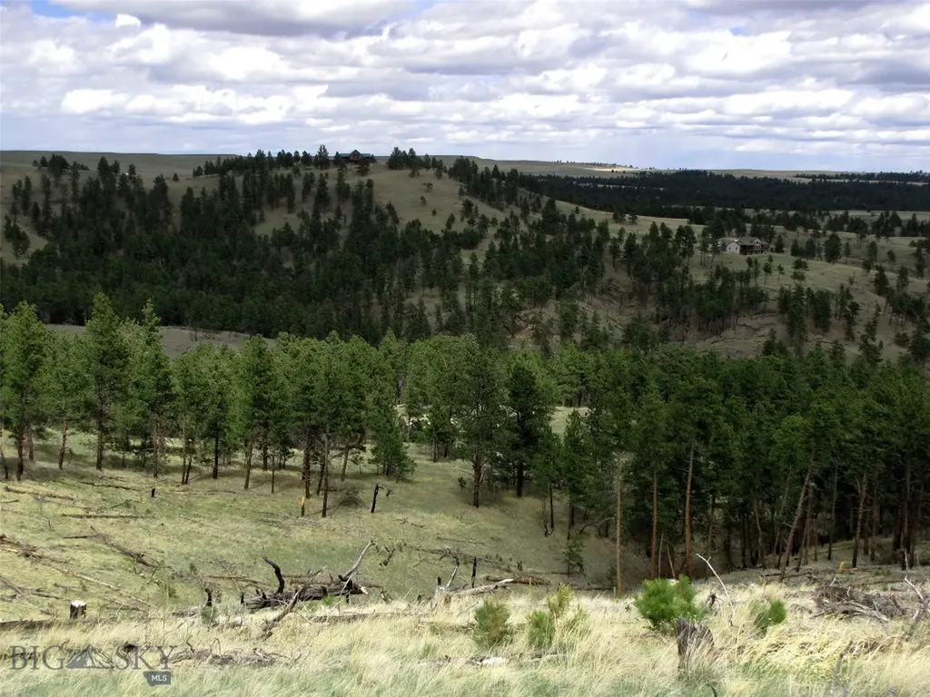 Tbd Wild Turkey Ridge Road Columbus MT 59019