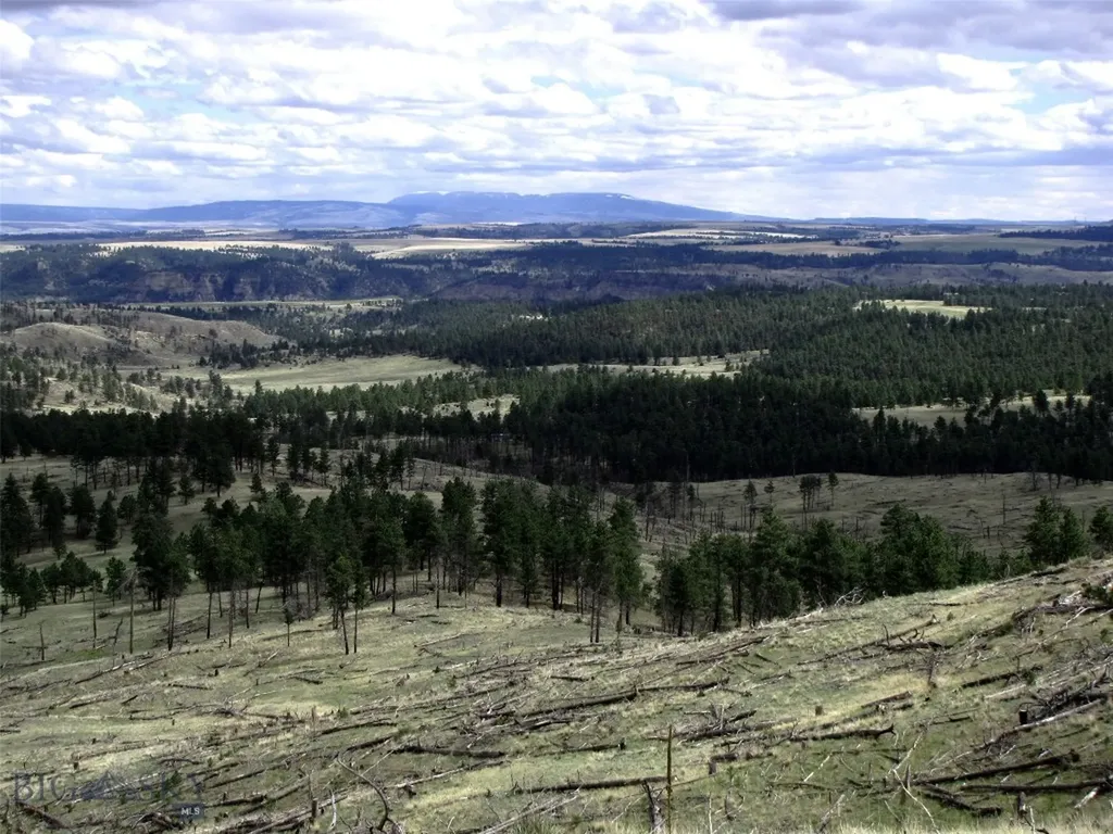 Tbd Wild Turkey Ridge Road Columbus MT 59019
