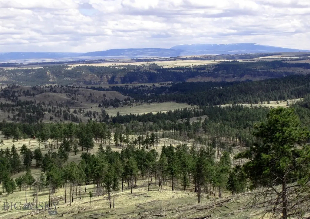 Tbd Wild Turkey Ridge Road Columbus MT 59019