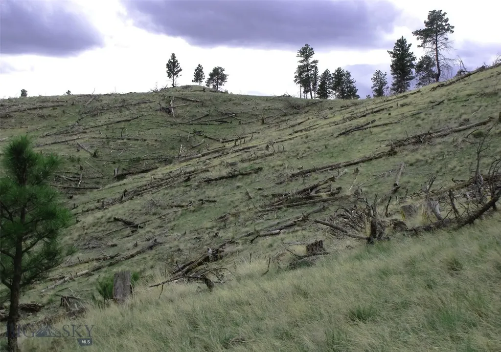 Tbd Wild Turkey Ridge Road Columbus MT 59019