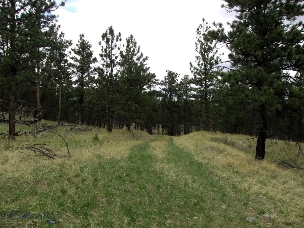 Tbd Wild Turkey Ridge Road Columbus MT 59019